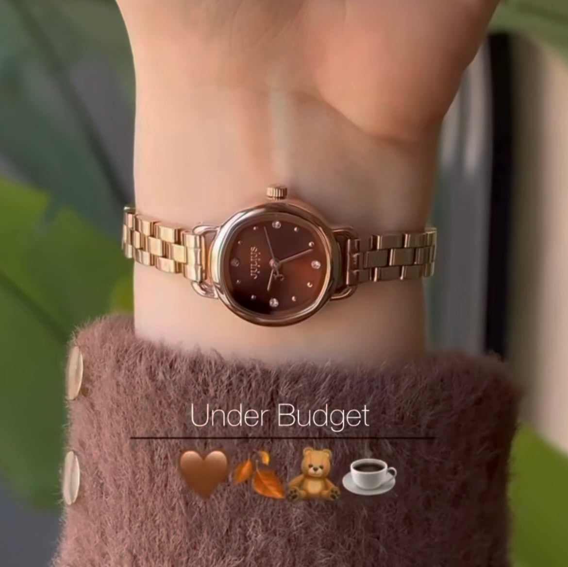 Brown Fall Watch